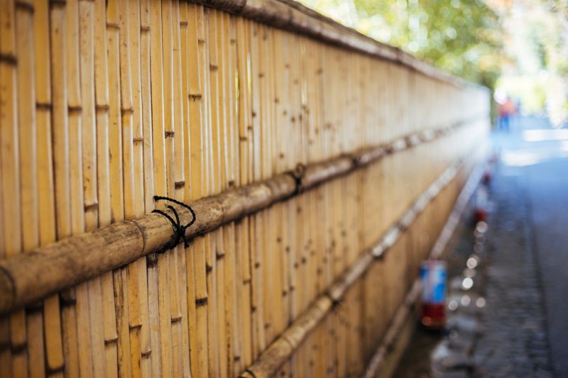 Bamboo Fences